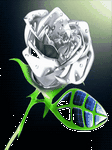 pic for Silver Rose